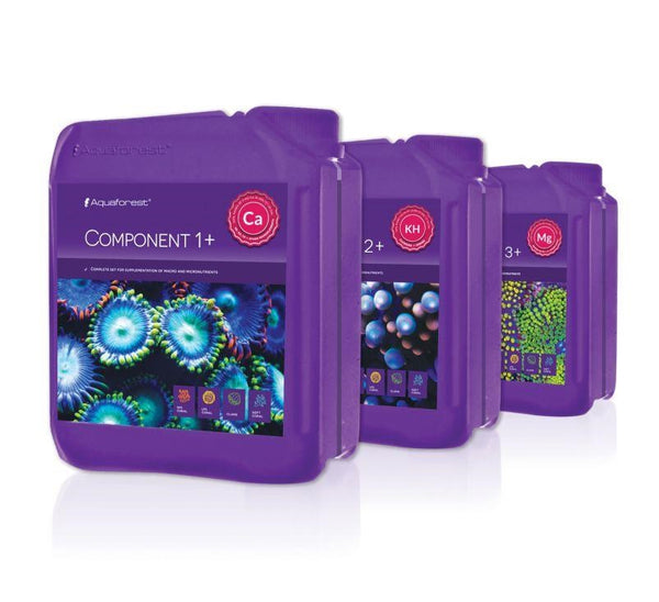 Component +1, +2, +3