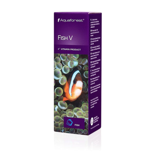 Fish V - Reef Synergy Ltd