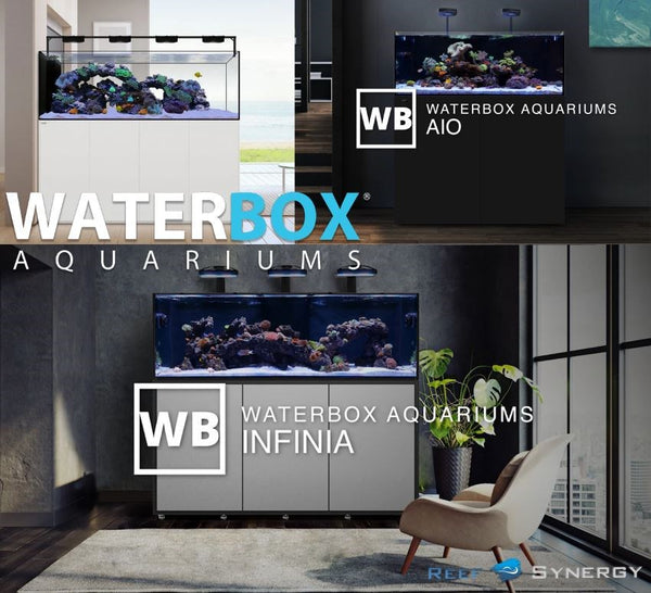 RS Waterbox Peninsula 6025 Reef +PLUS Kit