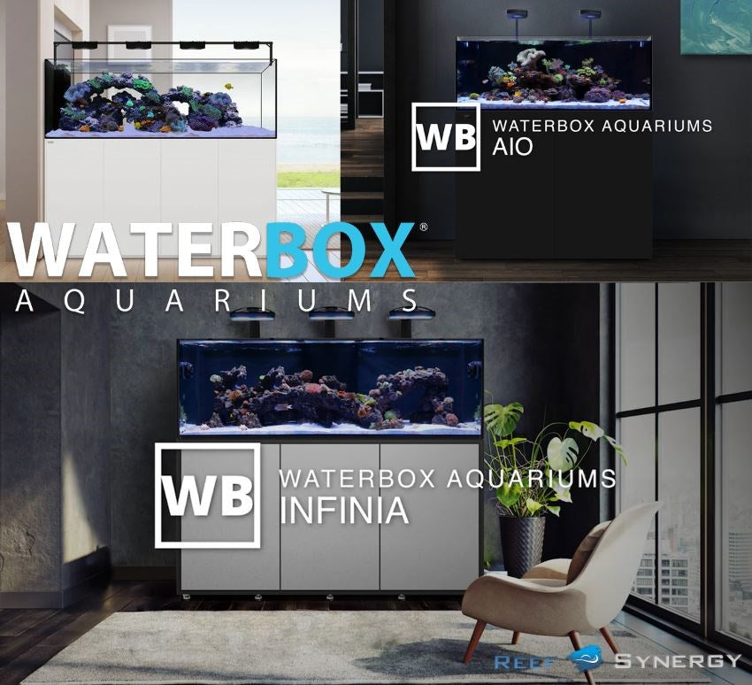 Waterbox RS Waterbox AIO 25 Reef Nano +PLUS Kit - Reef Synergy Ltd