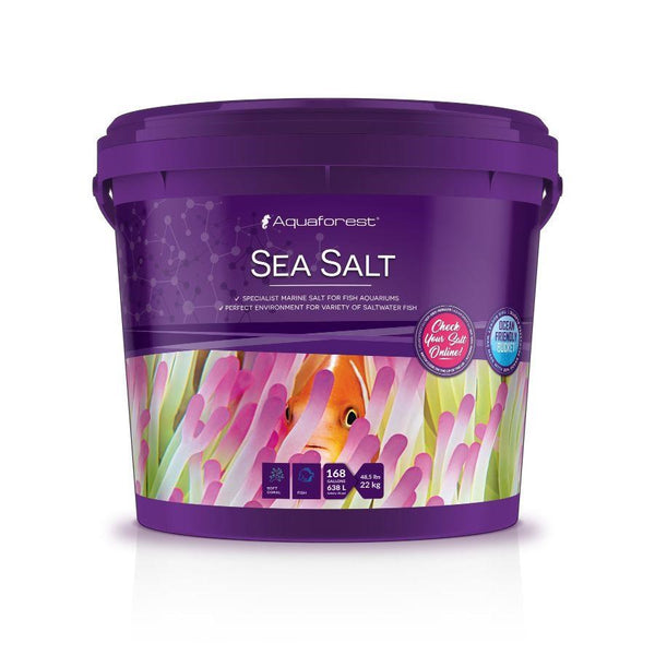 Sea Salt