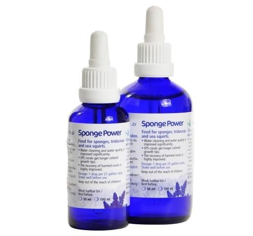 Sponge Power Concentrate