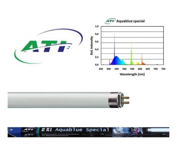 T5 - Aquablue Special