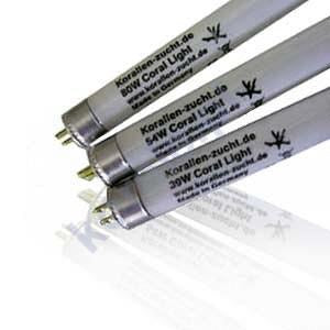 T5 Coral Light New Generation