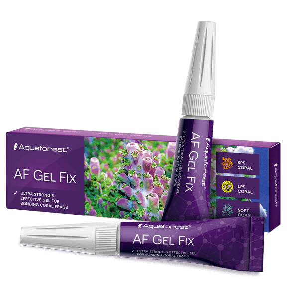 AF Gel Fix
