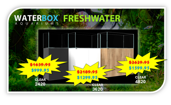 RS Waterbox CLEAR 4820 Kit