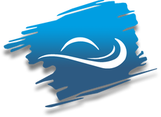 Reef Synergy Ltd logo
