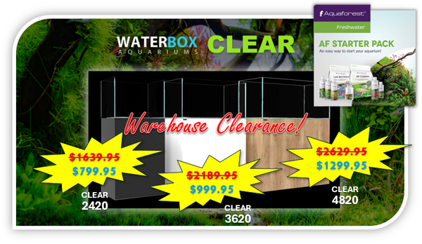 RS Waterbox CLEAR 4820 Kit