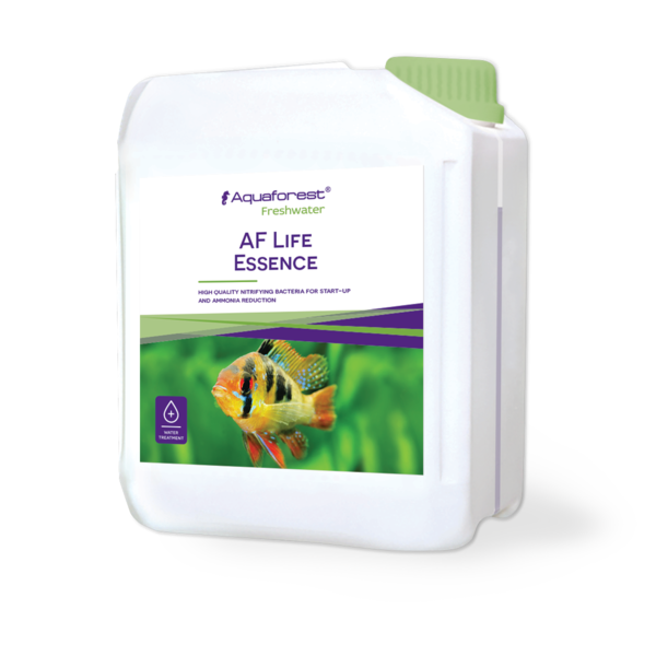 AF Life Essence - Reef Synergy Ltd