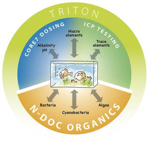 Triton N-DOC Test Kit